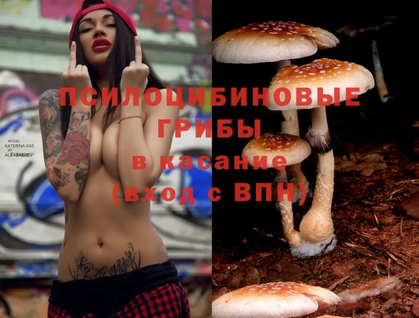 трава Беломорск