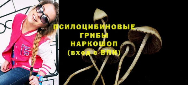 трава Беломорск