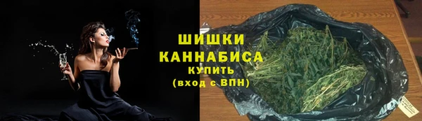 крисы Белокуриха