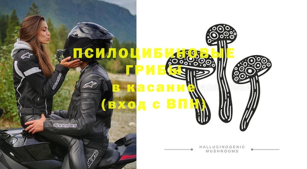 крисы Белокуриха